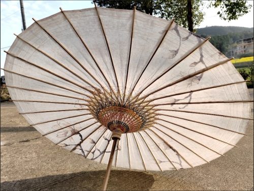 Elegant Handmade Oil Paper Umbrella photo review
