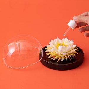 Handcrafted non-heritage porcelain night-blooming cereus flower aroma diffuser gift box, ideal creative gift for best friends or girlfriends on special occasions and birthdays.